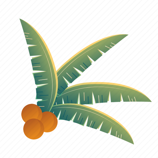 Beach, coconut, leaf, leaves, palm, summer, tropical icon - Download on Iconfinder