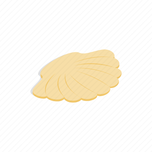 Isometric, mollusk, nature, ocean, sea, seashell, shell icon - Download on Iconfinder