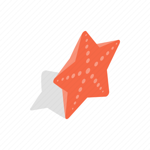 Animal, isometric, ocean, sea, star, starfish, summer icon - Download on Iconfinder