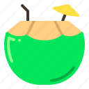 coconut drink, tropical, coconut, drinks