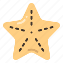 starfish, ocean, marine, animal