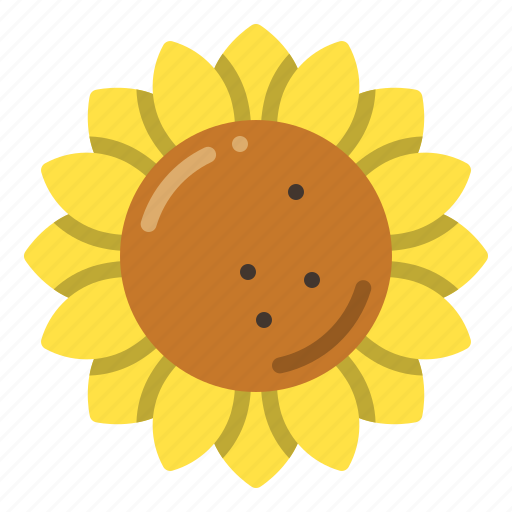 Sunflower, flower, blossom, spring icon - Download on Iconfinder