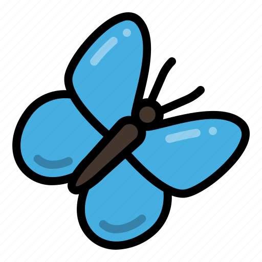 Butterfly, insect, nature, ecology icon - Download on Iconfinder