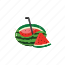 summer, sticker, set, collection, watermelon, beach, fruit