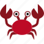 animal, crab, crustacean, krab, ocean, sea 