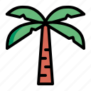 palm, tree, plant, nature