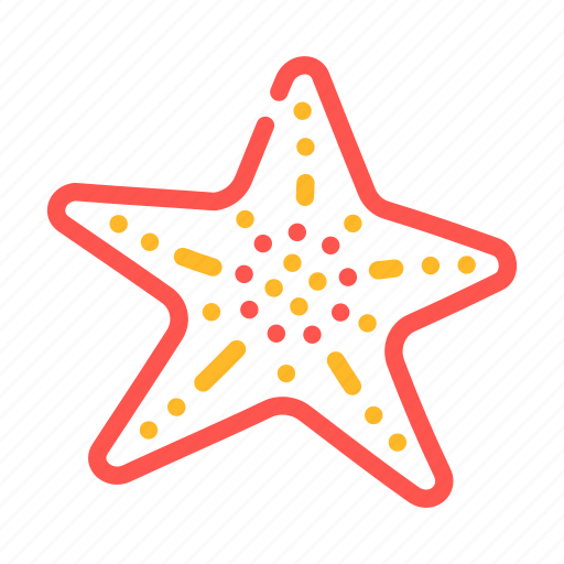 Starfish, marine, animal, summer, vacation, enjoying icon - Download on Iconfinder