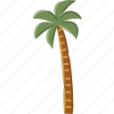 palm, plam, tree, coconut, beach, tropical
