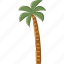 palm, plam, tree, coconut, beach, tropical 