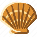 shell, scallop, sea, beach, summer