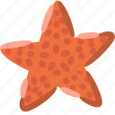 starfish, asteroidea, sea, star, beach, underwater