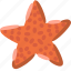 starfish, asteroidea, sea, star, beach, underwater 
