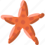 starfish, asteroidea, sea, star, underwater, beach 
