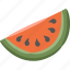 watermelon, tropical, fruit, fresh, summer 
