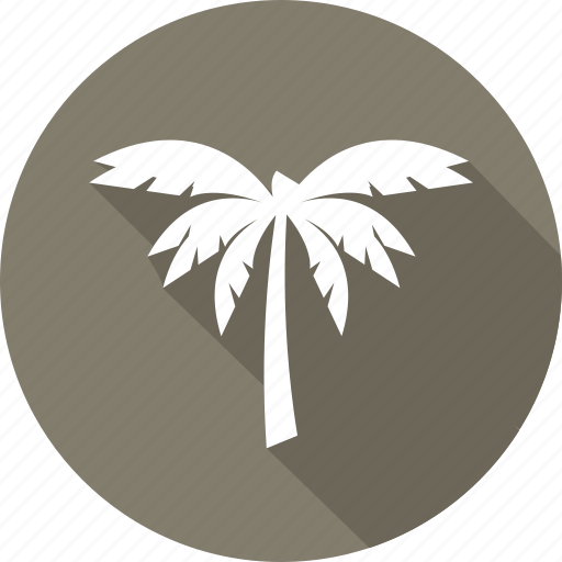 Coconut, fruit, tree icon - Download on Iconfinder