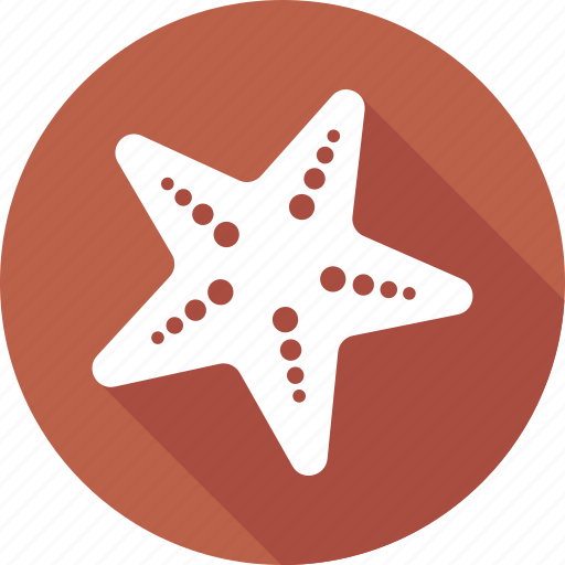 Animal, beach, star, starfish icon - Download on Iconfinder