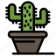 cactus, nature, plant 