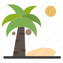beach, coconut, plant, summer
