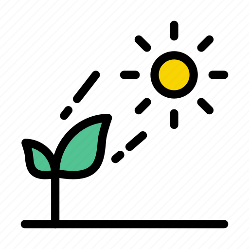 Green, growth, plant, summer, sun icon - Download on Iconfinder