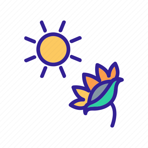 Action, agricultural, bag, herbal, products, sun, sunflower icon - Download on Iconfinder