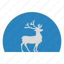 animal, deer, finland, hunting, nature, suomi, wild