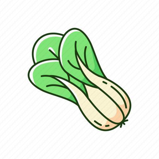 Bok choy, vegetable, cabbage, veggie icon - Download on Iconfinder