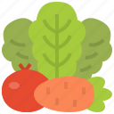 fruit, vegetable, fresh, organic, salad