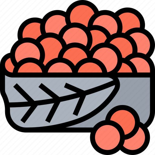 Ikura, salmon, roe, gourmet, food icon - Download on Iconfinder