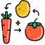 vegetable, carrot, tomato, food, vegetables, fruits 