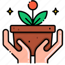 plant, pot, growth, garden, ecology