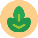 leaf, ecological, ecology, environment, green, icon