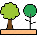 tree, ecology, nature, pine, icon