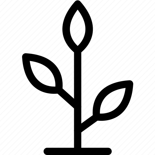Grow, growing, growth, nature icon - Download on Iconfinder