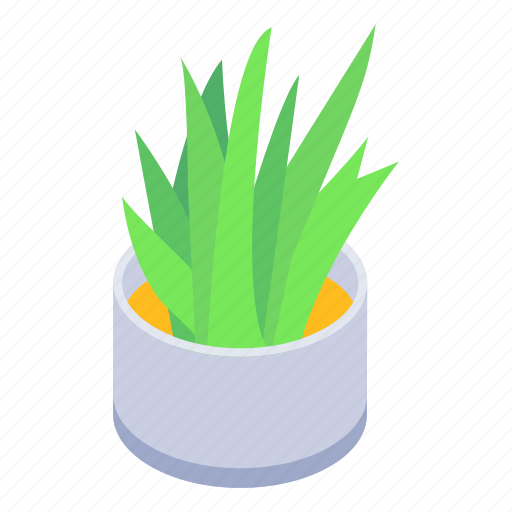 Aloe vera plant, indoor plant, succulent, nature, potted plant icon - Download on Iconfinder