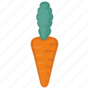 carrot, eat, food, vegetable