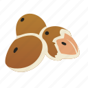 almond, brazil, brown, cartoon, logo, nuts, object