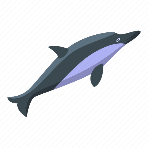 Ocean, dolphin, isometric icon - Download on Iconfinder