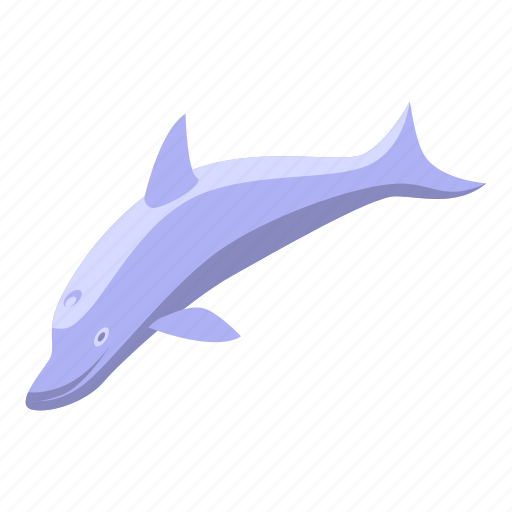 Sea, dolphin, isometric icon - Download on Iconfinder