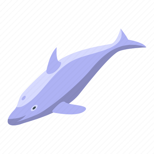 Swimming, dolphin, isometric icon - Download on Iconfinder