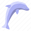 jumping, dolphin, isometric