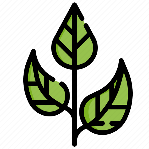 Tea, leaf, botanical, herbs, plant, nature icon - Download on Iconfinder