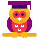 owl, education, night, funny owl, halloween, cute owl, fowl, animal, wisdom