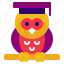 owl, education, night, funny owl, halloween, cute owl, fowl, animal, wisdom 