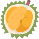 durian, fruit, dessert, tasty, tropical