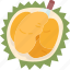 durian, fruit, dessert, tasty, tropical 