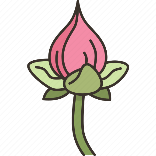 Lotus, petals, folding, worship, culture icon - Download on Iconfinder