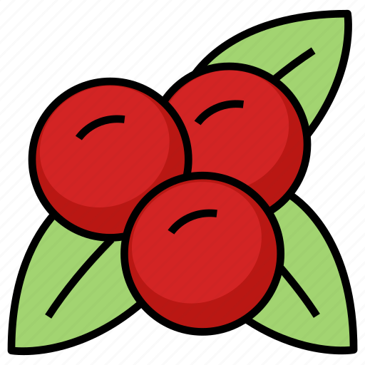 Thanksgiving, berry, cranberry, food, fruit icon - Download on Iconfinder
