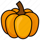 thanksgiving, pumpkin, vegetable, food, autumn