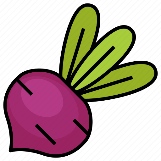 Thanksgiving, beet, food, root, vegetable icon - Download on Iconfinder