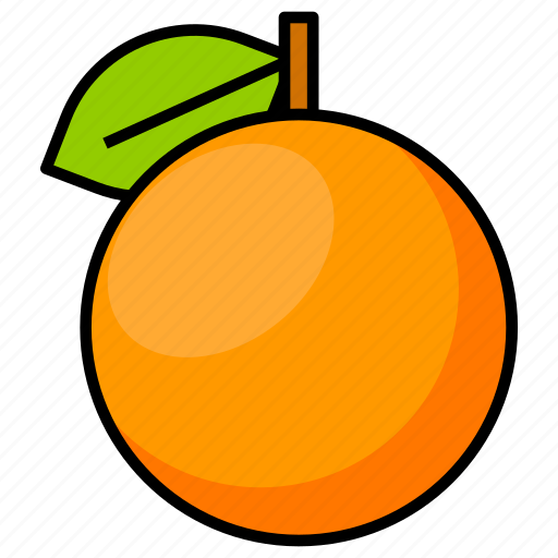 Thanksgiving, orange, fruit, food icon - Download on Iconfinder